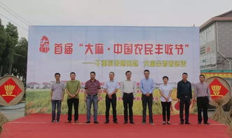 大麻稻田的新生机 农副产品的多元开发