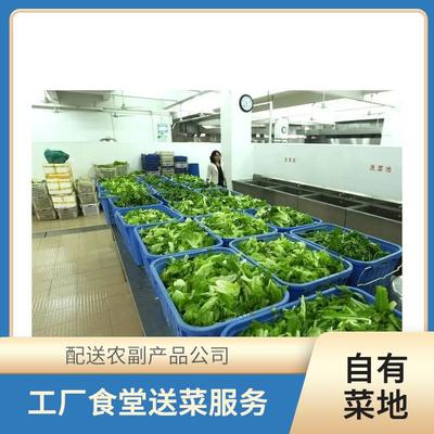 东莞蔬菜配送服务 保障新鲜农副产品直达餐桌