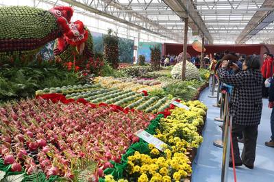 台湾特色农产品首次亮相北京农业嘉年华