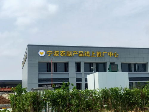 宁波农副产品物流中心一期试运营开启 农产品流通新枢纽，便捷交通指南助您畅行
