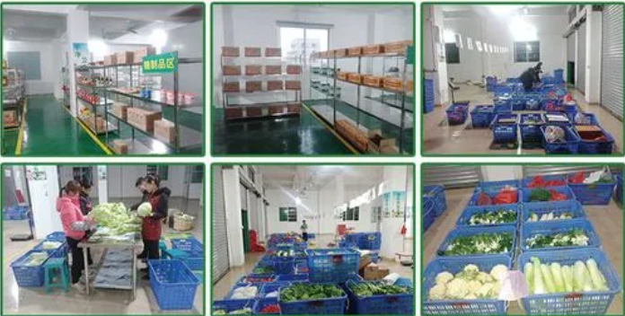 煜鲜农副产品配送 从田间到餐桌，守护您的每一餐新鲜